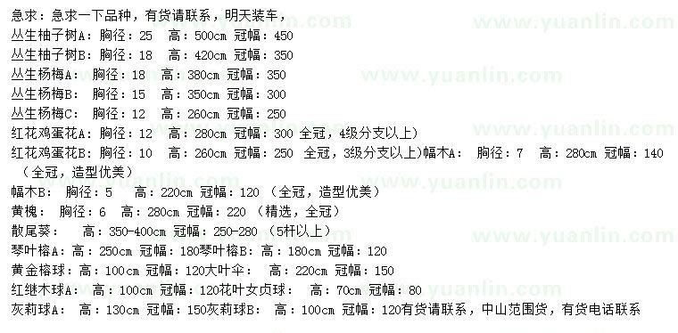 求购丛生柚子树、丛生杨梅、红花鸡蛋花等