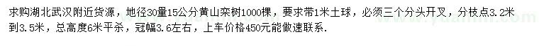 求购地径30量15公分黄山栾树