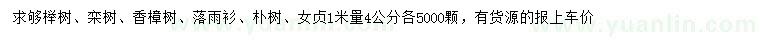 求购榉树、栾树、 香樟树等