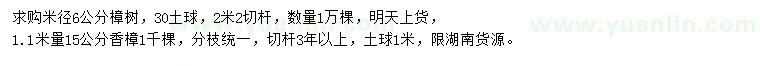 求购米径6公分樟树、1.1米量15公分香樟