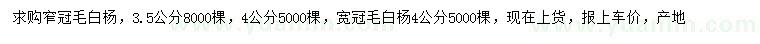 求购3.5、4公分窄冠毛白杨、4公分宽冠毛白杨