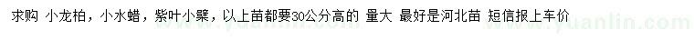 求购小龙柏、小水蜡、紫叶小檗