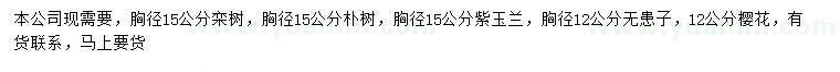 求购栾树、朴树、紫玉兰等