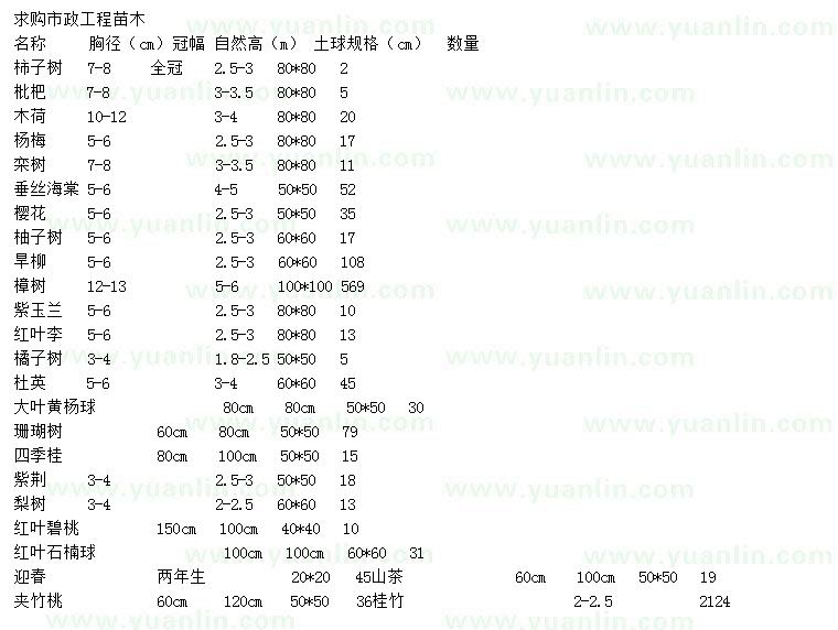 求购柿子树、枇杷、木荷等