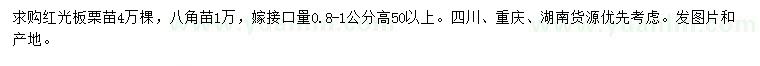 求购接口量0.8-1米红光板栗苗、八角苗