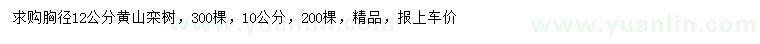 求购胸径10、12公分黄山栾树