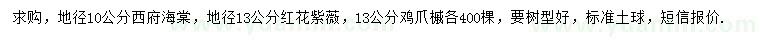 求购西府海棠、红花紫薇、鸡爪槭