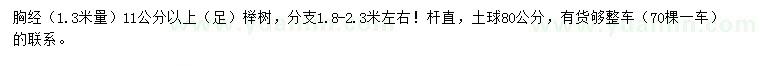 求购1.3米量11公分榉树