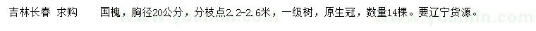 求购胸径20公分国槐