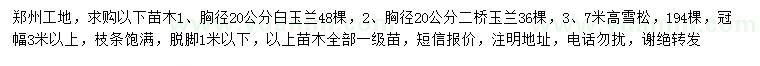 求购胸径20公分白玉兰、二桥玉兰