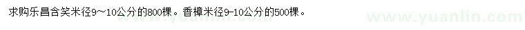 求购米径9-10公分乐昌含笑、香樟