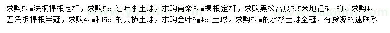 求购法桐、红叶李、南栾等