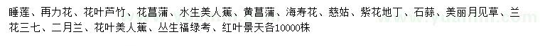 求购睡莲、再力花、花叶芦竹等