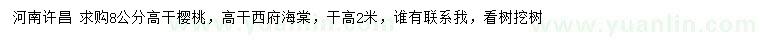 求购8公分高杆樱桃、高杆西府海棠