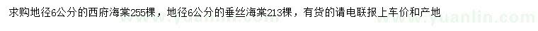 求购地径6公分西府海棠、地径6公分垂丝海棠