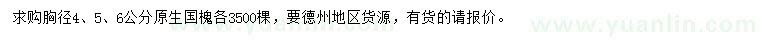 求购胸径4、5、6公分国槐