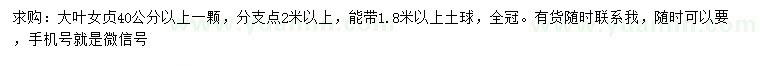 求购40公分以上全冠大叶女贞