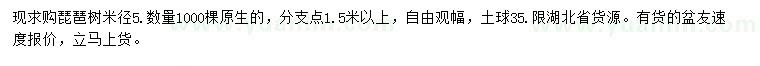 求购米径5公分琵琶树