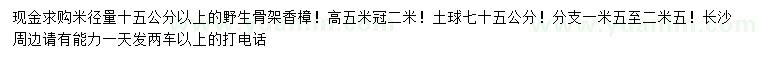 求购米径量15公分以上野生骨架香樟