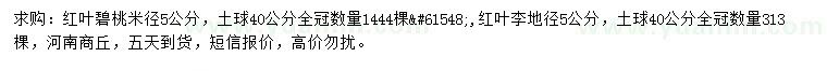 求购米径5公分红叶碧桃、地径5公分红叶李