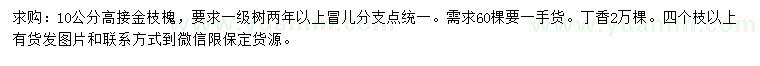 求购10公分高接金枝槐、丁香