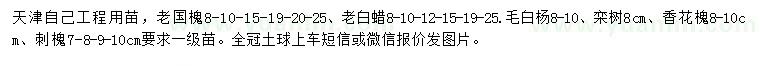 求购老国槐、老白蜡、毛白杨等