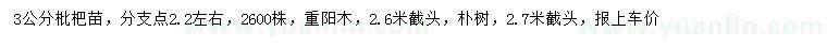 求购枇杷苗、重阳木、朴树