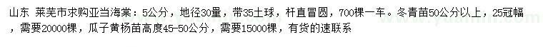 求购亚当海棠、冬青苗、黄杨苗