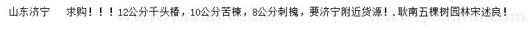 求购千头椿、苦楝、刺槐