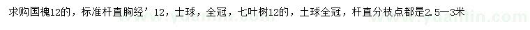 求购12公分国槐、七叶树