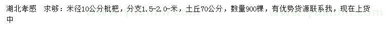 求购米径10公分枇杷