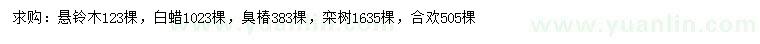 求购栾树、合欢、白蜡等