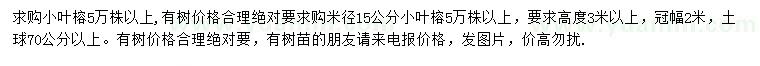 求购米径15公分小叶榕以上