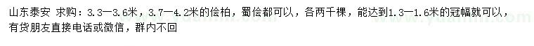 求购3.3-3.6、3.7-4.2米侩柏、蜀侩