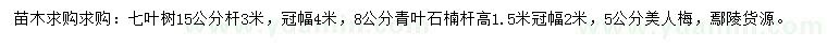 求购七叶树、青叶石楠、美人梅