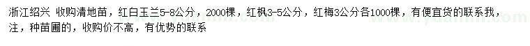 求购红、白玉兰、红枫、红梅