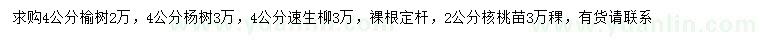 求购榆树、杨树、速生柳等