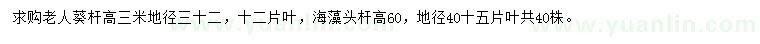 求购地径32公分老人葵、40公分海藻头