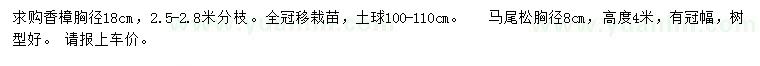 求购胸径18公分香樟、8公分马尾松