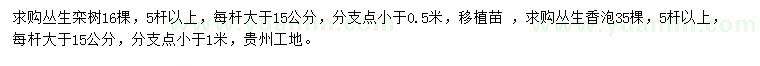 求购丛生栾树、丛生香泡