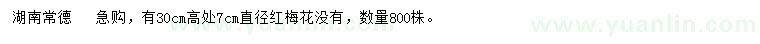 求购高30公分量直径7公分红梅花