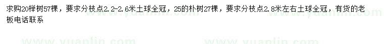 求购20公分榉树、25公分术树