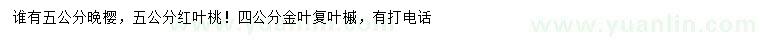 求购晚樱、红叶桃、金叶复叶槭