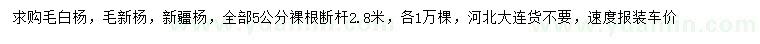 求购毛白杨、毛新杨、新疆杨