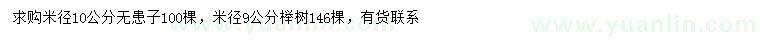 求购米径10公分无患子、9公分榉树