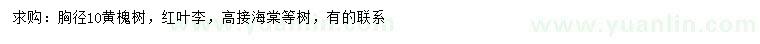 求购黄槐树、红叶李、高接海棠