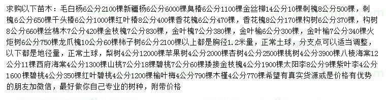 求购毛白杨、新疆杨、臭椿等