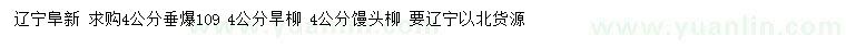 求购垂爆109、旱柳、馒头柳