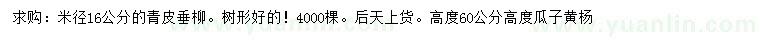 求购16公分青皮垂柳、高60公分瓜子黄杨