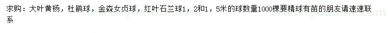 求购大叶黄杨、杜鹃球、金森女贞球等